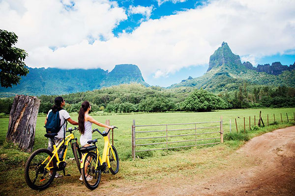 Electric Bike Guided Tour at the Belvédère