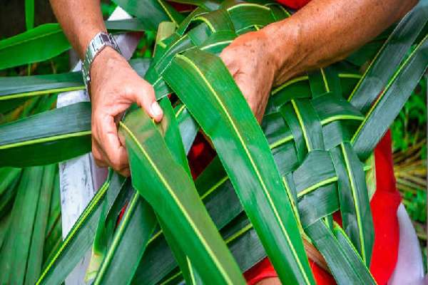 Immersion entre Nature et Culture