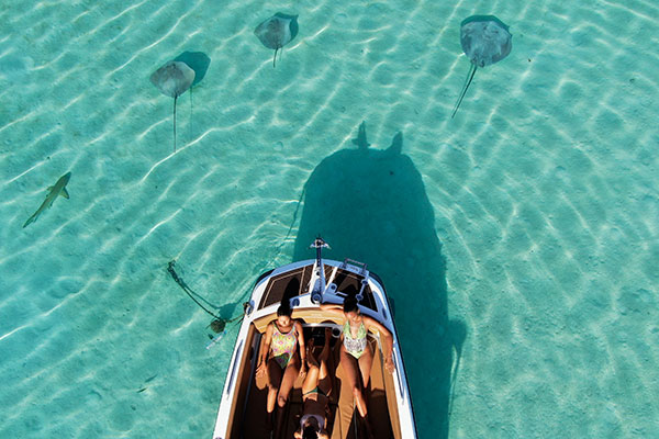 Croisière Découverte & Biodiversité Marine - Moorea