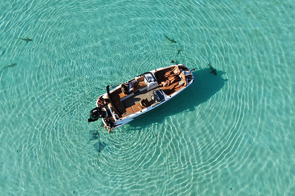 Croisière Découverte & Biodiversité Marine