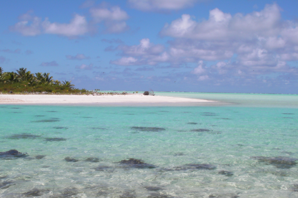 Tetiaroa Premium Day Tour