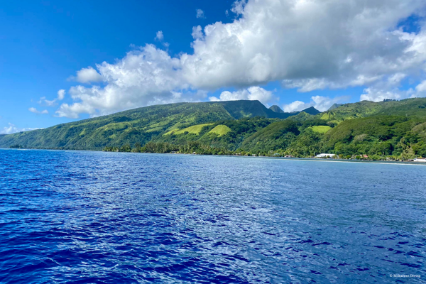 2 successives dives - Tahiti