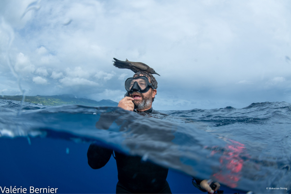 2 successives dives