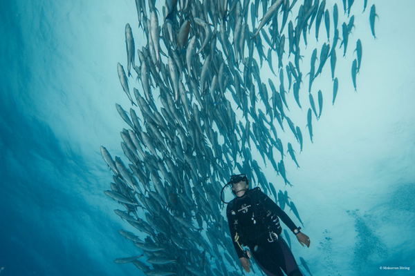 2 successives dives