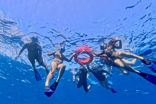 Whales on the pacific ocean - Tahiti