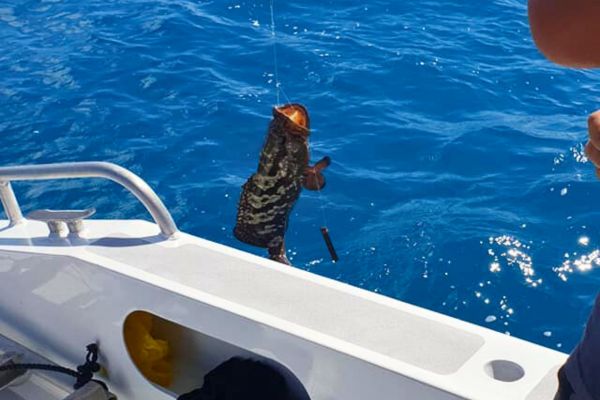 Pêche lagonaire à Rangiroa