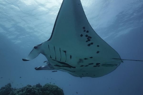 Atoll Discovery Excursion