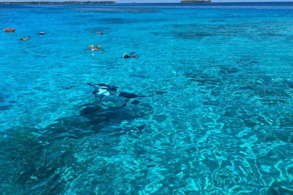 Atoll Discovery Excursion