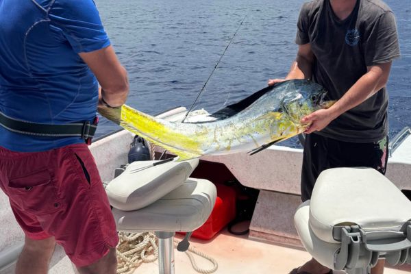 Private Fishing Excursion - Half-day