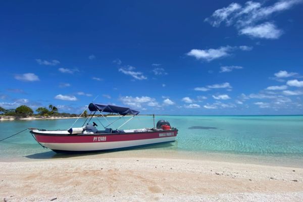 Private Fishing Excursion - Half-day