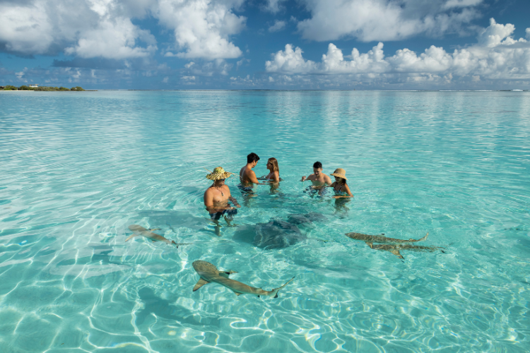 Moorea’s lagoon
