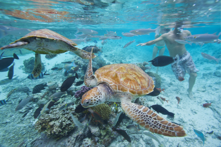 Underwater