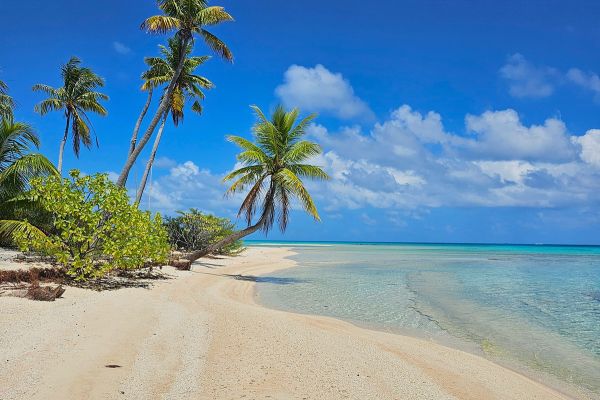 Tikehau