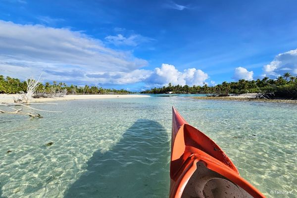 Pirogue