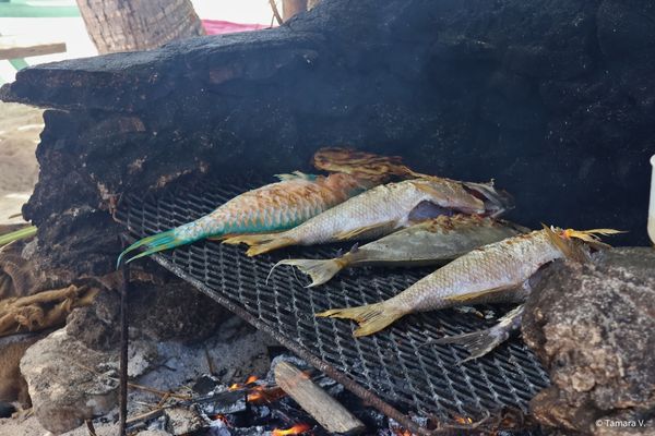 Poisson