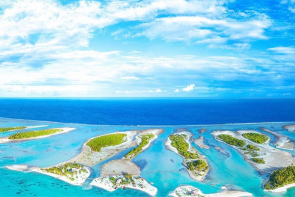 Te Manu Lodge Tikehau - 