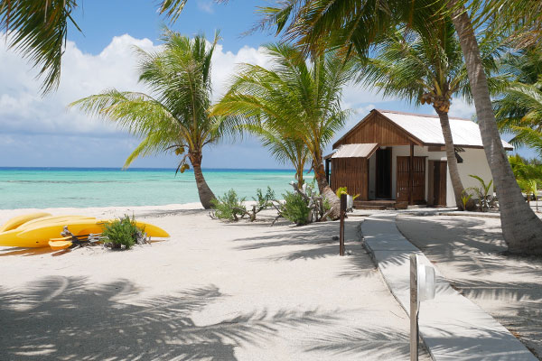 Te Manu Lodge Tikehau - 