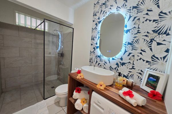 Lagoon Dream Papetoai Moorea - Bathroom