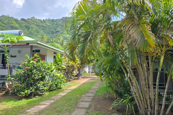 Lagoon Dream Papetoai Moorea -  Avenue outside