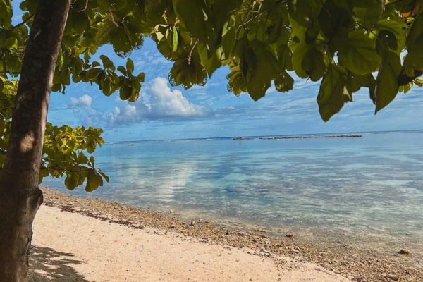 Fare Tiaia - 