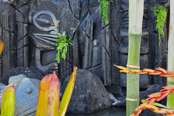 Maitai Express Tahiti - 