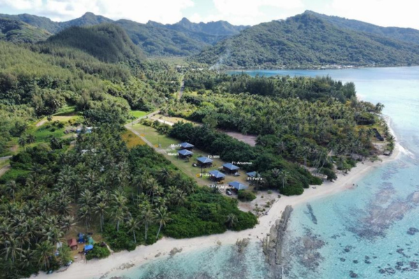 Parea Lodge - 