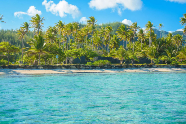 Parea Lodge - 