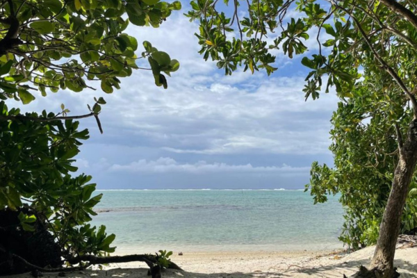Parea Lodge - 