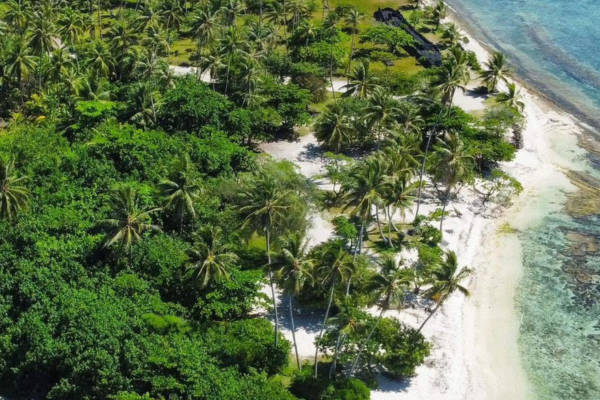 Parea Lodge - 