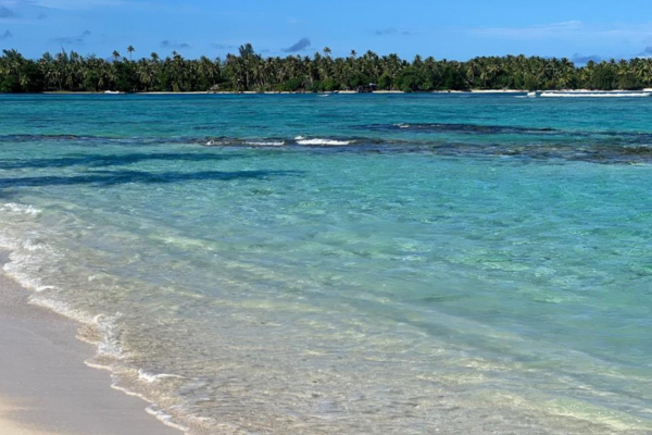 Parea Lodge - 