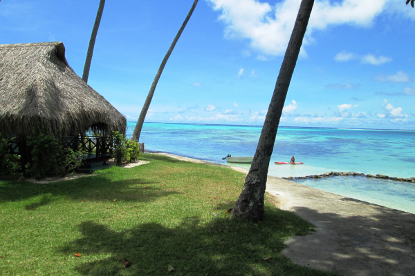 Hotel Hibiscus - 