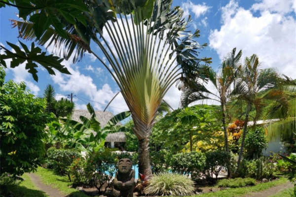 Pension de La Plage - 