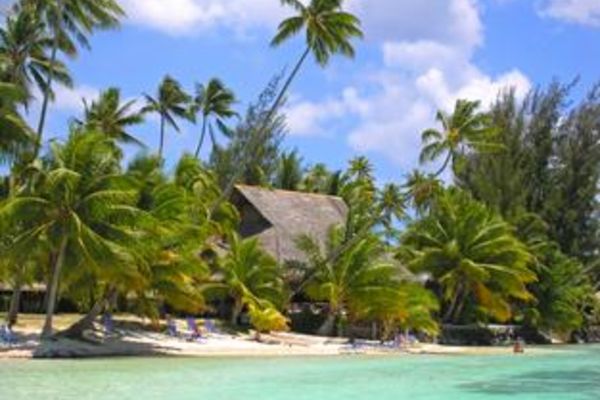 Hotel Les Tipaniers - 