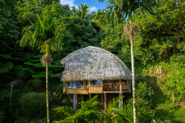 Vanira Lodge - 