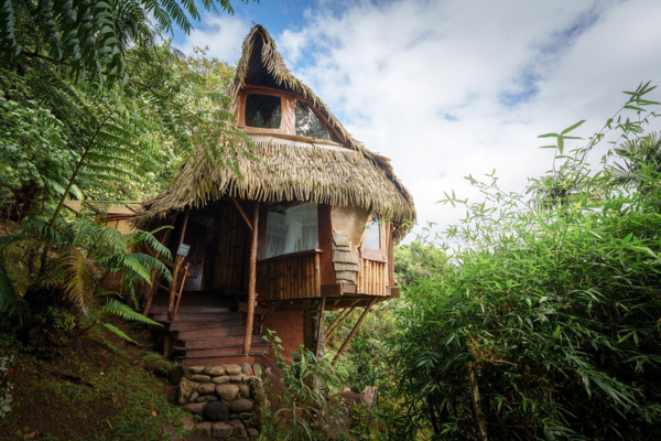Vanira Lodge - 