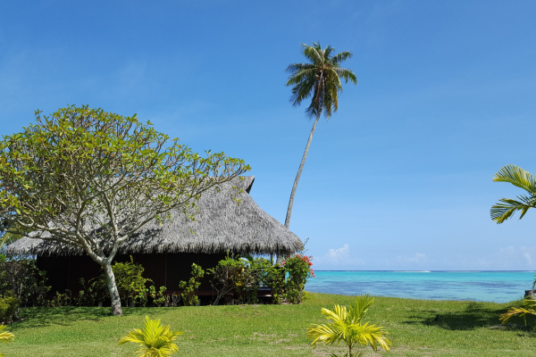 Hotel Hibiscus - 