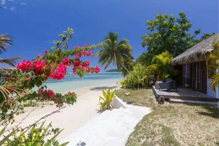 Moorea Beach Lodge - 