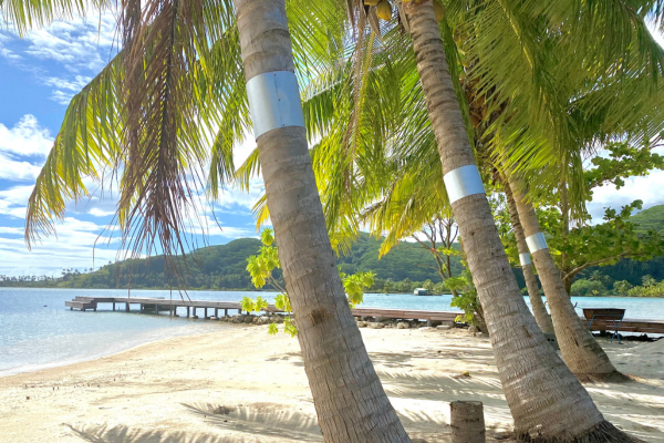 Apatoa Beach & Garden Village - 