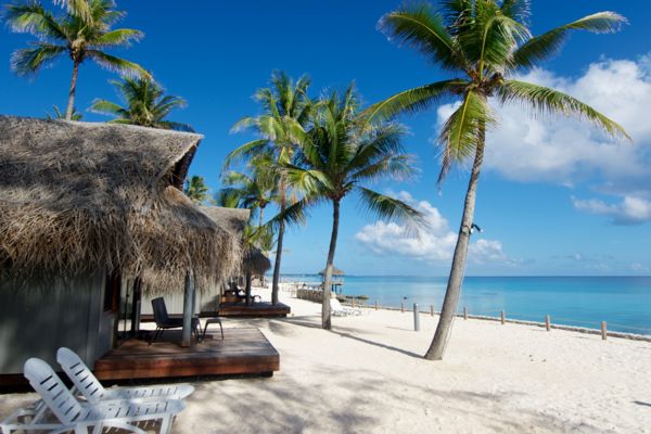 Maitai Rangiroa - 