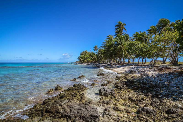 Va'a i te Moana - 