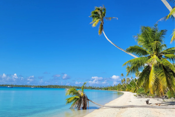 Pension Raimiti (Passe Sud) - 