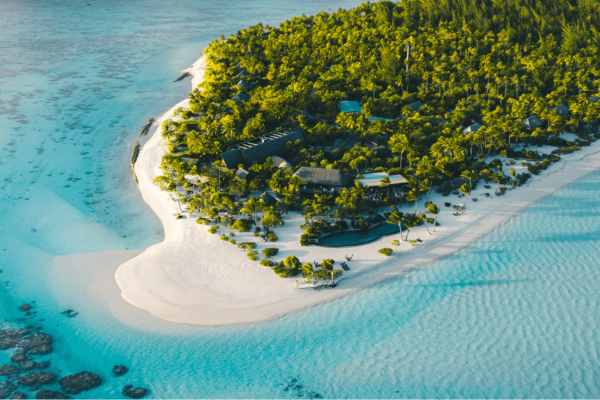 The Brando - 