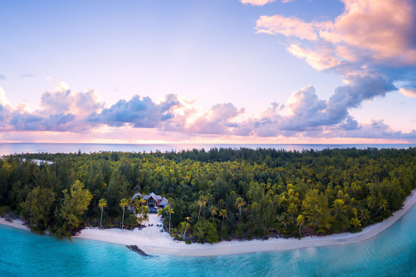 The Brando - 
