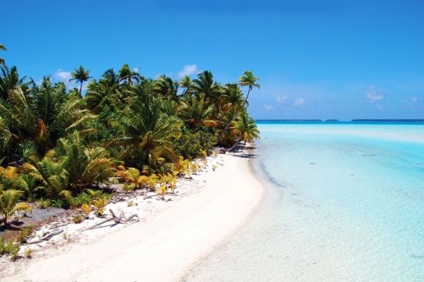 The Brando - 