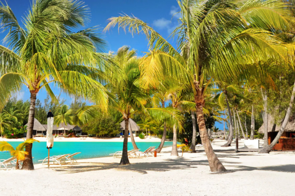 The Westin Bora Bora Resort & Spa - 