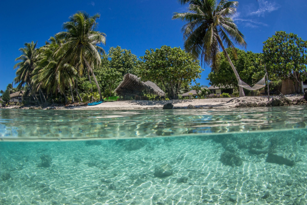 Le Coconut Lodge - 