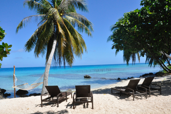 Le Coconut Lodge - 
