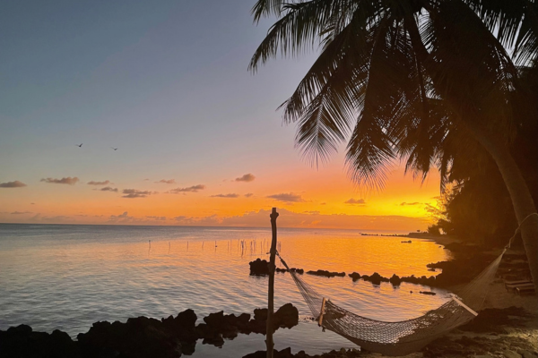 Le Coconut Lodge - 