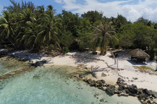 Le Coconut Lodge - 