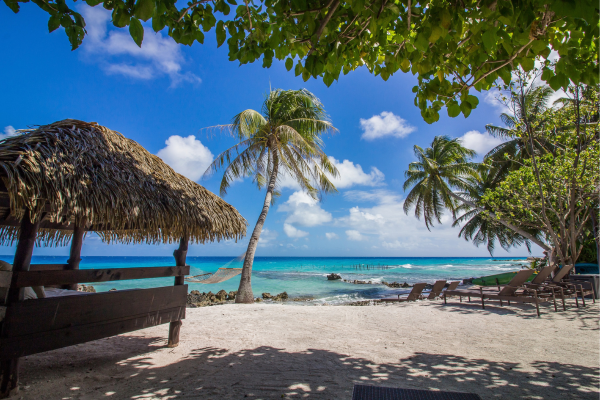 Le Coconut Lodge - 
